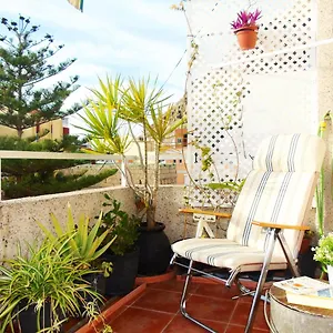 Apartamento ático Pepita Con Terraza,san Andrés, San Andrés